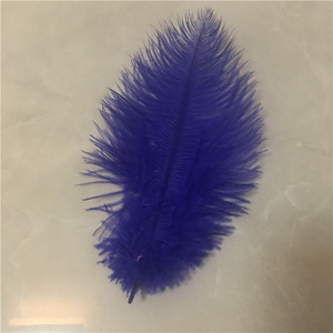 Prezzo all'ingrosso 15-70cm piume di struzzo soffici naturali - Product Image 5