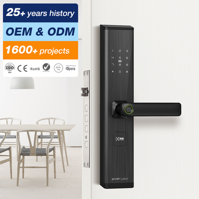 Top 5 $100 Keypad Tuya Zigbee Smart Doorlock Euro August Wifi Smart Lock Interior Door Universal