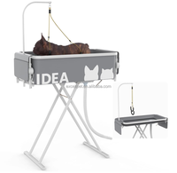 Baignoire et table de toilettage pour animaux de compagnie 2 en 1