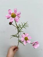 Fleurs artificielles Cosmos à tige courte de style nordique, décoration intérieure, salon, table à manger, table basse, arrangement floral