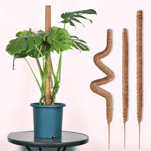 Monstera ชุดเสามอสแบบย่อยสลายได้ตามธรรมชาติอุปกรณ์สวนขนาดใหญ่ต้นไม้ที่ปลูกแบบงอได้เป็นมิตรต่อสิ่งแวดล้อม - Product Image 5