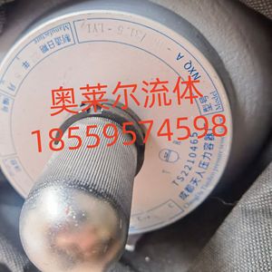 Chengdu Tianren Hydraulic Capsule Accumulator NXQA Nitrogen <b>Storage</b> Tank Pressure Vessel - Product Image 4