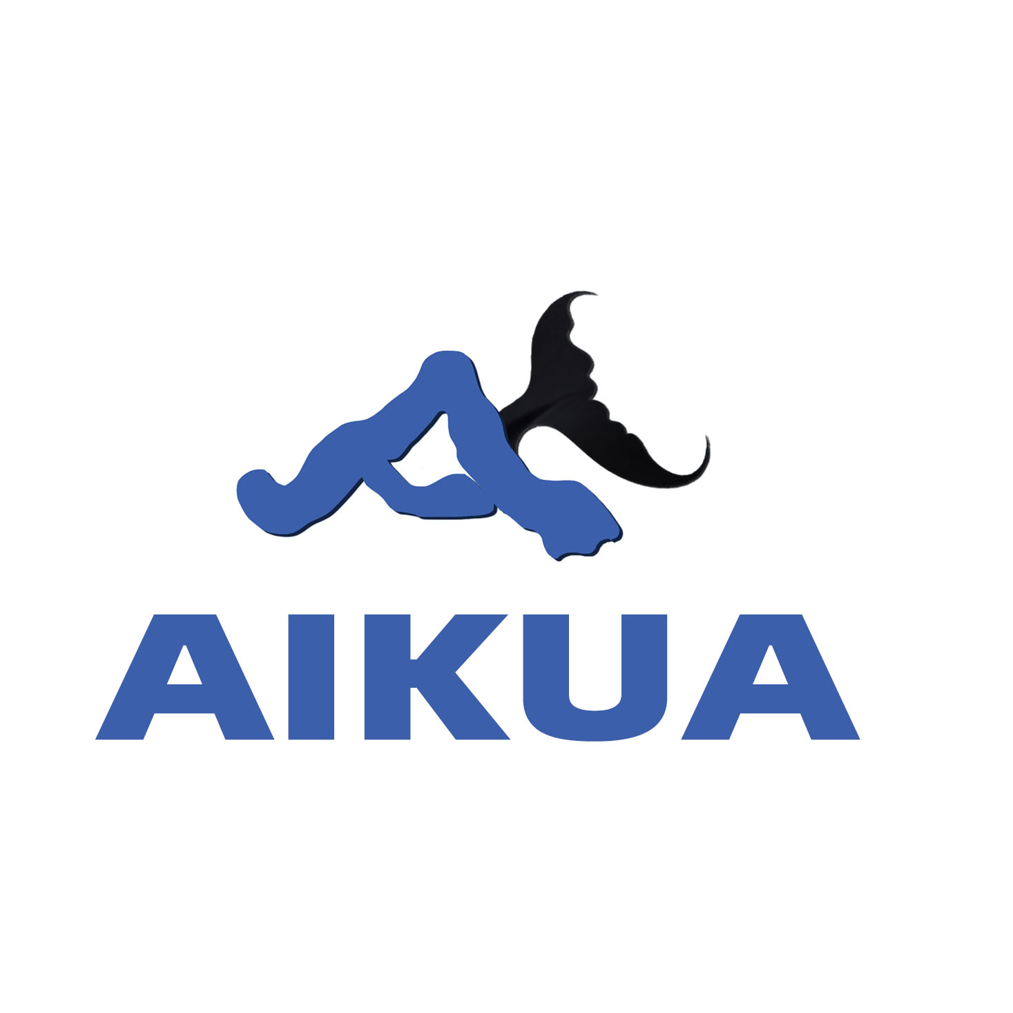 Funan Aikua Sports Goods Co., Ltd. logo