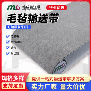 Bande transporteuse plate en PVC Mc Green 2,0 mm antistatique pour ligne d'assemblage - Product Image 5