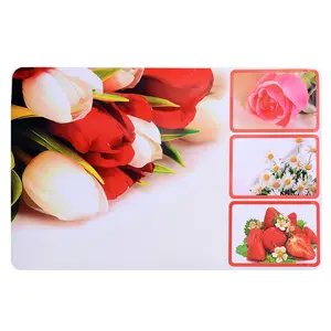 Creative Cute Coaster Round Colorful Rubber Coaster Cup Mat Heat Resistant Placemat table mat plastic pp placemat