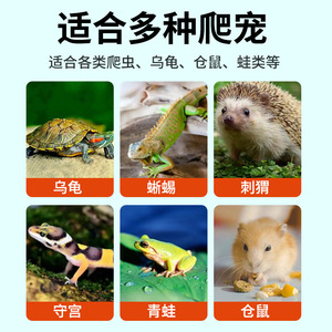 Reptile Hibernation <b>Box</b> Rectangle Acrylic Transparent Reusable Terrarium For Turtle Snake Spider Winter <b>Bedding</b> - Product Image 4