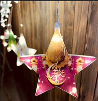 Guirlande lumineuse en forme de gouttelettes pour fenêtre, décoration de fête de l'Aïd al-Fitr, motif étoile et lune, thème islamique