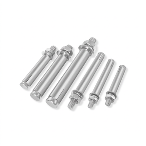 Pernos de Expansión de Cabeza Hexagonal de Acero Inoxidable 304 201 M6 M8 M10 M12 M16 M20 con Acabado Pasivado para Fijación en Paredes - Product Image 1