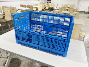 Farm Poultry Foldable PP <strong>Plastic</strong> <strong>Egg</strong> <strong>Crate</strong> Meshy Box Design with Folding Sheets for Chicken House Collapsible Transport Storage - Product Image 4