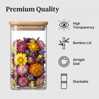 Couvercle en bois haute teneur en verre borosilicaté bocal de stockage des aliments pour bonbons aliments secs épices pâtes accessoires de cuisine