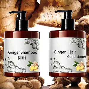 private label 100% Pure Organic Hair Care Set Anti-hair Loss Ginger Hair shampoo and conditioner