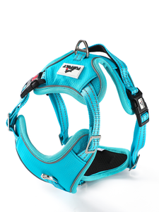 Produk anjing populer Set <span class=keywords><strong>Harness</strong></span> anjing Neoprene dengan tali leher anjing yang cocok Set Bandana dan dasi kupu-kupu - Product Image 4