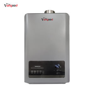 Chauffe-eau à gaz sans réservoir en acier inoxydable de 12 L pour usage domestique, contrôle constant de la température avec double tuyau - Product Image 1
