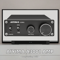 Amplificateur audio domestique mono Hifi A3001 TPA3255 300W avec haut-parleur de puissance de subwoofer et récepteurs et amplificateurs OP AMP NE5532