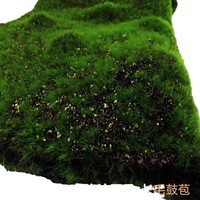 Herbe artificielle verte de pelouse de mousse de bricolage pour la décoration de supermarché aménagement paysager occasion de Thanksgiving matériel de mousse plante de mousse