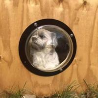 Hemisphère transparent en acrylique, couvercle anti-poussière creux, fournitures pour animaux de compagnie, nid pour chat, arbre à chat, capsule spatiale UFO, maison de couchage pour chat