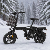Vélo électrique pliable pour adultes, moteur 250W, norme CE EN15194 DOC, vitesse maximale 25 km/h, batterie lithium 48V 12Ah, version cadre rigide