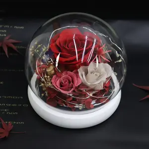 도매 새로운 모델 발렌타인 데이 생일 크리스마스 선물 영원한 장미 꽃 led 빛 소원 병 보존 장미