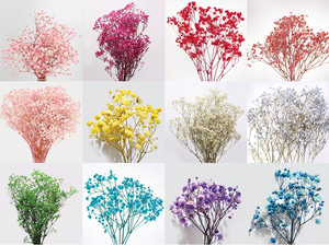 Flores Secas <span class=keywords><strong>de</strong></span> Gypsophila Blanca <span class=keywords><strong>de</strong></span> Alta Calidad, Ramo <span class=keywords><strong>de</strong></span> Arreglo Floral para Bodas Million Star, Plantas Secas Preservadas al por Mayor - Product Image 2