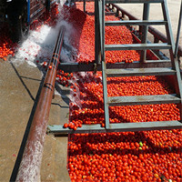 Tomatenpureemachine voor fruit & groente, automatische roestvrijstalen productielijn met hoge capaciteit, van concentraat naar productie.