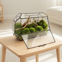 Terrarium en verre pour plantes, mousse préservée, micro-paysage pour la décoration de la maison, du jardin, du bureau ou de la table