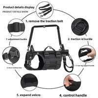 Harnais de sport pour chiens handicapés, en tissu Oxford imperméable, sangle de poitrine réglable, soutien à la rééducation, mobilité, soins aux animaux âgés