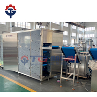 Automatische productielijn voor fruitgummi snoepjes, machine voor het maken van jelly bears en zachte snoepjes, PLC-gestuurd