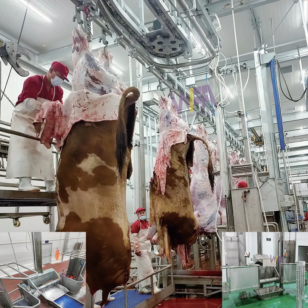 Internationaler Halal-Lebensmittelständer Rinderschlachthauszubehör Kuhhautentfernungsmaschine für Buffalo vollständige Schlachtanlage