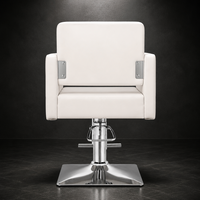 Chaise de barbier portable pour salon, prix de gros, chaise de barbier