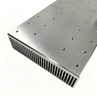 Dissipateur de chaleur amplificateur personnalisé 120(W)* 36(H)* 305(L)mm dissipateur thermique en aluminium extrudé traité CNC