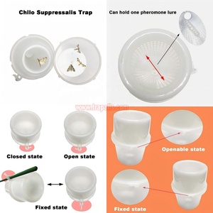 Trappola ai feromoni per il controllo dei parassiti nell'agricoltura biologica dei risaie: trappola per il trivella del riso (Chilo Suppressalis) - Product Image 3