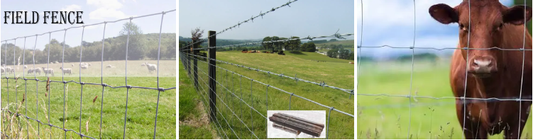 Customized galvanized hinge joint field cattle goat fences farm guard deer netting