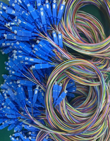 Pigtail à 12 fibres LC SC ST APC UPC G652D 0,9 mm LSZH SM OM3 OM4 non gainé ou gainé, codé par couleur pour cordon de brassage fibre optique
