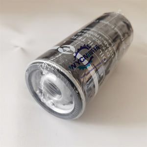 Yüksek kaliteli D6114 motor D17-002-02 + B yakit filtresi - Product Image 6