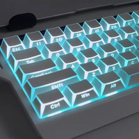 Reflected Light with sharp Angles, Translucent Original PBT Keycaps for Custom Mechanical Magnetic Switch Keyboards