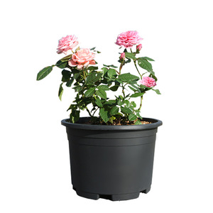 Macetas de <span class=keywords><strong>PVC</strong></span> Esmaltado Negro Grueso de Alta Calidad, Duraderas, Estilo Nórdico, para Jardín y Exteriores - Product Image 1