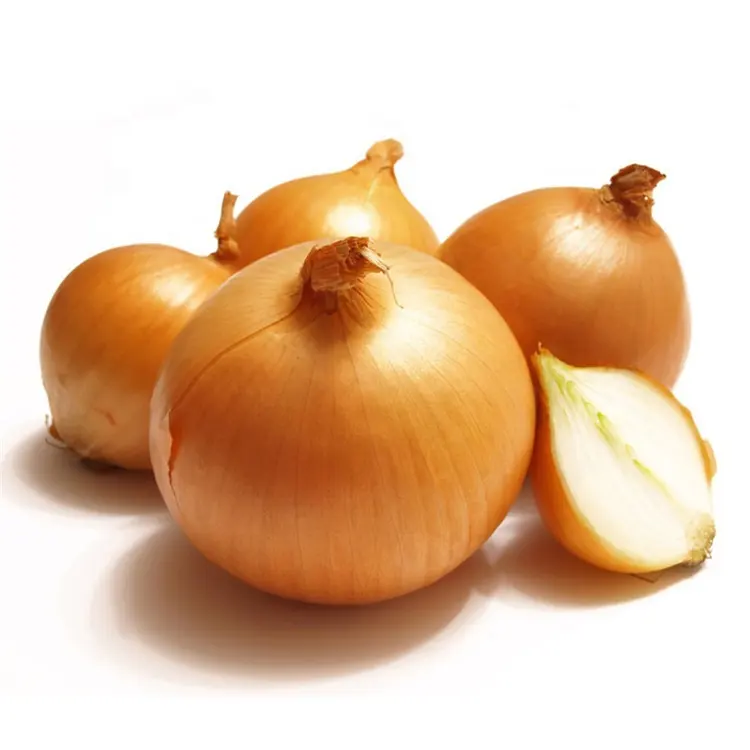 China Fresh Yellow Onion New Crop Size 8 - 12 CM Chinese Unpeeled Fresh Onions Cheap Price For Sale