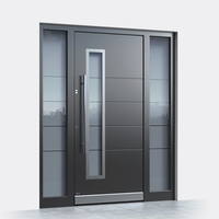 Fabricant chinois de premier plan de portes extérieures en métal de luxe mexicaines avec portes pivotantes en acier et vitres latérales