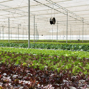 Skyplant กรอบเรือนกระจกที่ใช้ในเชิงพาณิชย์ทำจากฟิล์มหลายช่วงโครงสร้างเรือนกระจกสำหรับบ้านสีเขียวแบบครบวงจร - Product Image 4