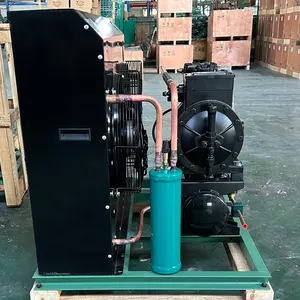 Ventas calientes 5hp 8hp 10Hp 12hp Compresor de unidad de refrigeración de cámara fría integrado plano para almacenamientos fríos de congelador rápido