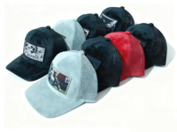 Gorra de Camionero de 5 Paneles de Terciopelo y Malla Personalizable de Alta Calidad, Diseño Bordado en 3D, Estilo Deportivo y Moderno para Invierno