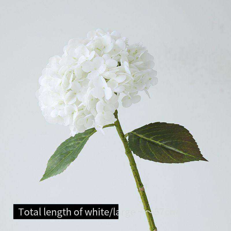White Big