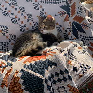 Mantas <span class=keywords><strong>baratas</strong></span> <span class=keywords><strong>de</strong></span> fábrica al por mayor, juego <span class=keywords><strong>de</strong></span> sofás grandes <span class=keywords><strong>de</strong></span> estilo nórdico, <span class=keywords><strong>fundas</strong></span> lavables antideslizantes, toalla <span class=keywords><strong>de</strong></span> sofá <span class=keywords><strong>de</strong></span> un solo asiento - Product Image 2