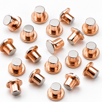 Fournisseur de rivets de contact bimétalliques électriques, relais à rivets, rivets de contact en argent