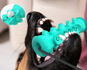 Vente en gros disque de succion <span class=keywords><strong>chien</strong></span> jouets à mâcher pour chiots de dentition - Product Image 6