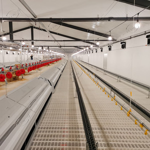 Low Price <strong>Automatic</strong> Breeder Floor <strong>Raising</strong> <strong>System</strong> - Product Image 6