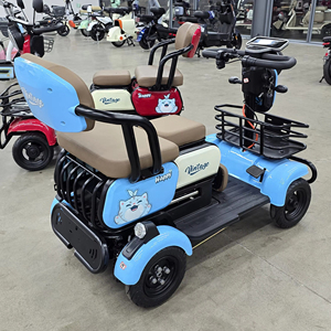 <span class=keywords><strong>Cuatriciclo</strong></span> Eléctrico Familiar Abierto, Motor de 500W, Velocidad Máxima 30km/h, Autonomía 40-50km, Amortiguadores Hidráulicos Delanteros, Conducción Cómoda, 2 Plazas - Product Image 6