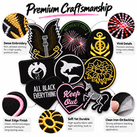 Lot de patchs noirs stylés en gros : Épée ailée, squelette de requin, licorne – Appliques thermocollantes ou à coudre pour décoration DIY – Patchs de créateur