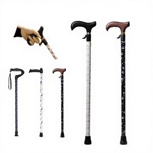 Canne de marche en alliage d'aluminium avec poignée en T et embout en caoutchouc, capacité de 250 lb, pour l'alpinisme - Product Image 1