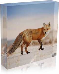 Tùy Chỉnh <span class=keywords><strong>Acrylic</strong></span> Khối Màu In Ấn <span class=keywords><strong>Acrylic</strong></span> Khối Đứng Và Logo UV In Ấn Hình Ảnh Khối - Product Image 2